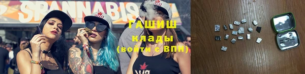 шишки Аркадак