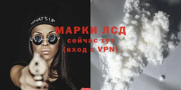 шишки Аркадак