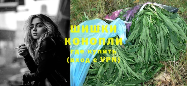ПСИЛОЦИБИНОВЫЕ ГРИБЫ Арсеньев