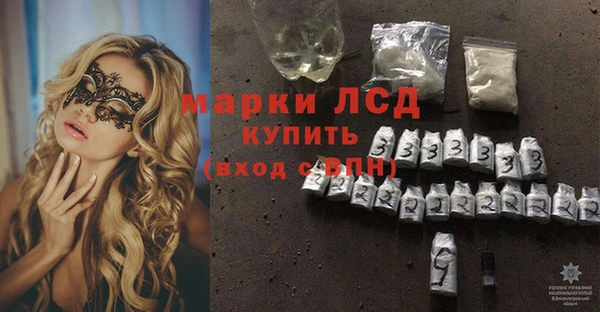 ПСИЛОЦИБИНОВЫЕ ГРИБЫ Арсеньев