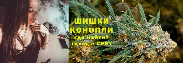 шишки Аркадак