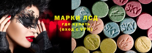 шишки Аркадак