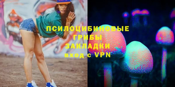 ПСИЛОЦИБИНОВЫЕ ГРИБЫ Арсеньев