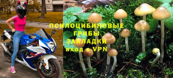 ПСИЛОЦИБИНОВЫЕ ГРИБЫ Арсеньев