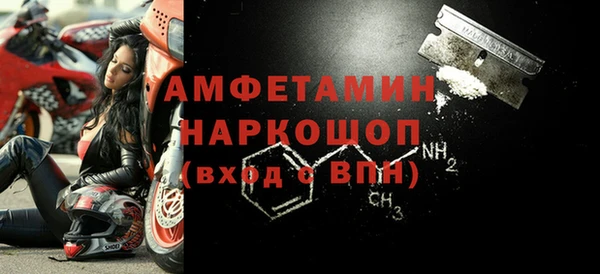 шишки Аркадак
