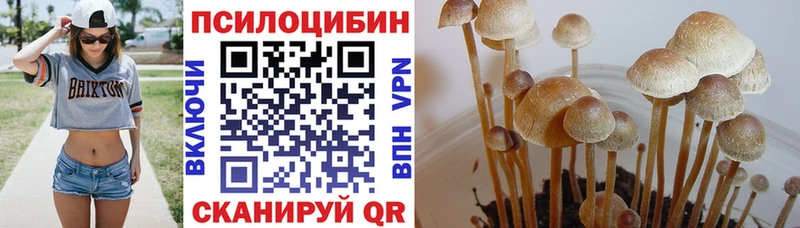 Купить  Юхнов  Галлюциногенные грибы мухоморы 
